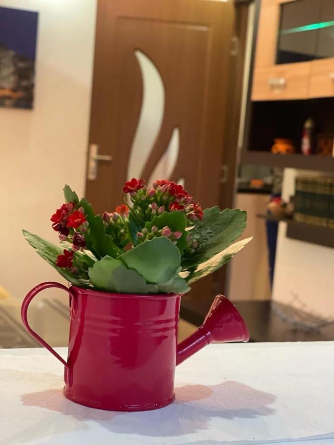 Bucuresti Comfort Apartment מראה חיצוני תמונה